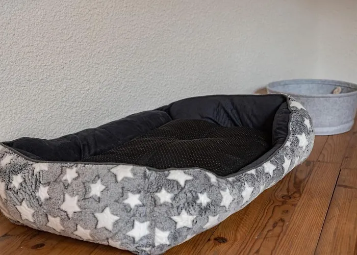 Refuge Sous Les Toits Perpignan