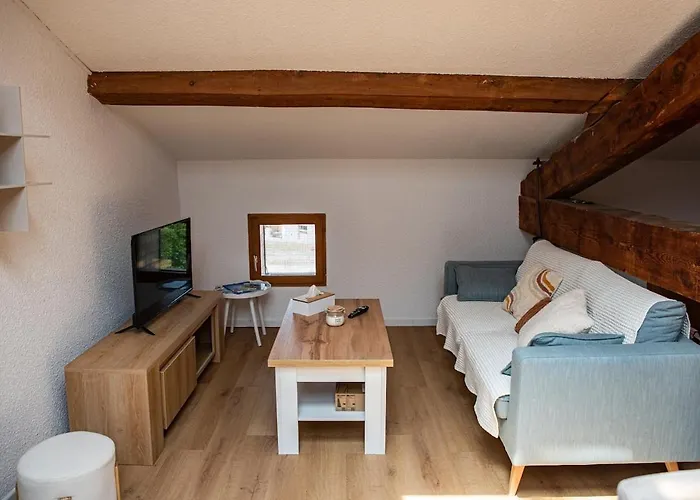 Refuge Sous Les Toits Apartment Perpignan